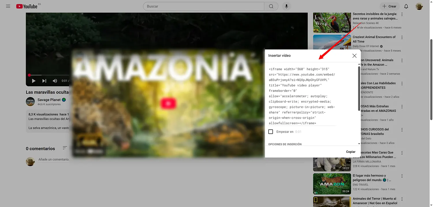 codigo-incrustar-seo-video-youtube