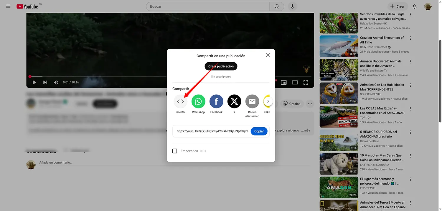 insertar-video-en-post-seo