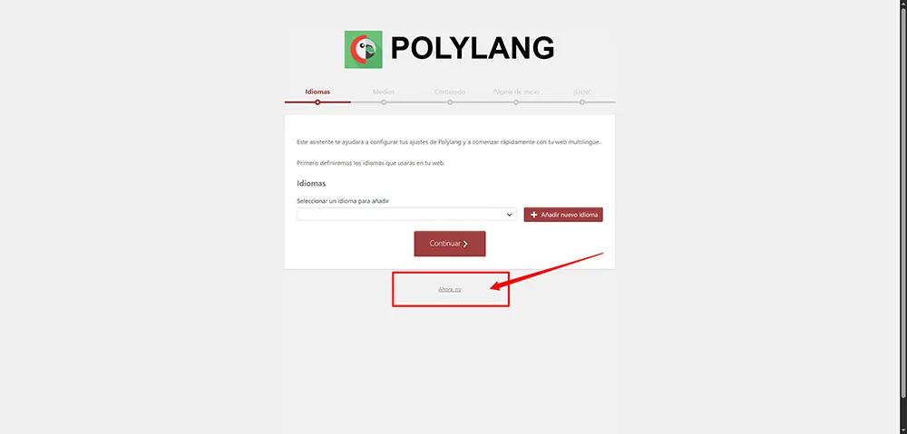 no-crear-idioma-polylang copia