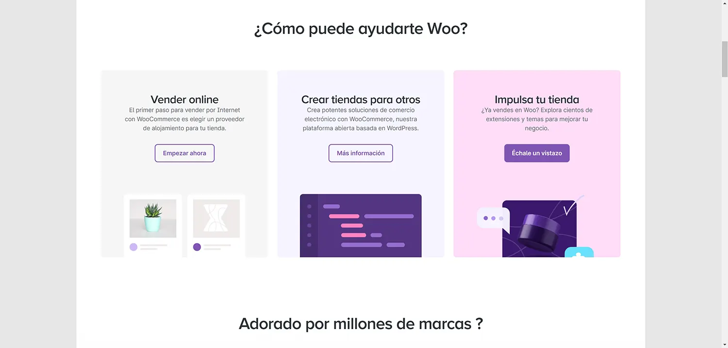 tienda-online-profesional-woocommerce